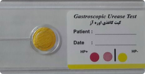 کیت اوره از کاغذی